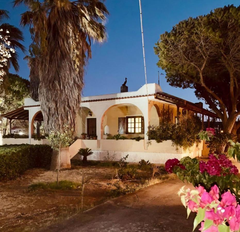 Vravrona Family House Villa Artemida  Exterior photo
